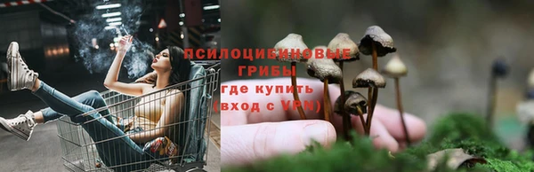 мяу мяу кристалл Арсеньев