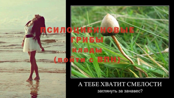 мяу мяу кристалл Арсеньев