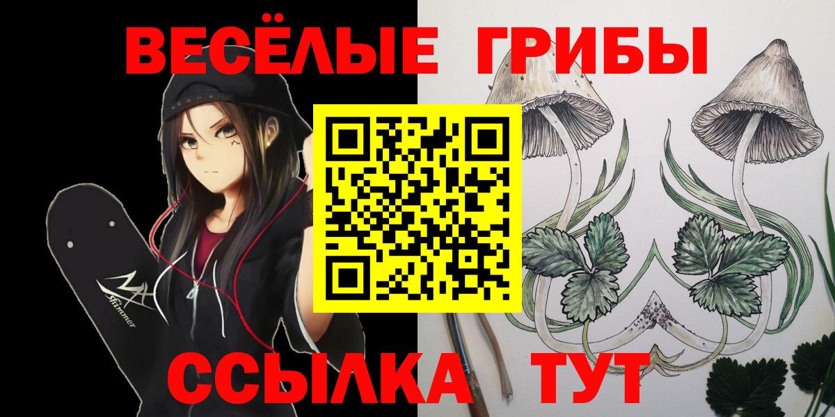 Псилоцибиновые грибы мицелий Можга