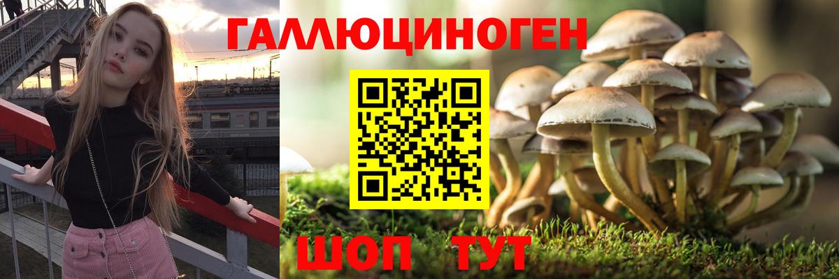 Галлюциногенные грибы Psilocybe  Вход с VPN  Псилоцибиновые грибы мухоморы  Можга 